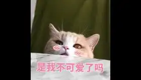 可爱猫猫表情包配音