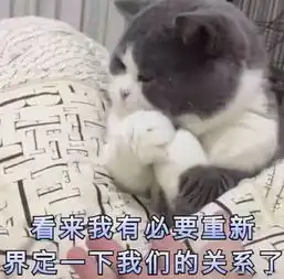 熊猫头斗图表情年纪轻轻,就知道用脸吓唬人了