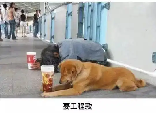 不许笑工地岗位表情一览表,切勿对号入座
