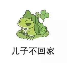 今天不能安利这波海关宝宝算我输