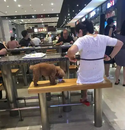 奶狗男生专用头像奶茶