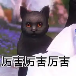 今日干货丨想戒猫还是一起来云吸猫吧