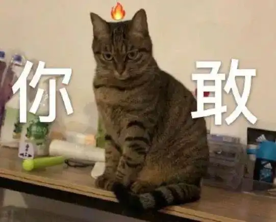 小胖子表情包我没钱猫猫
