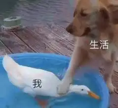 父母滞留澳洲870父母临时签证来拯救,允许境内递交