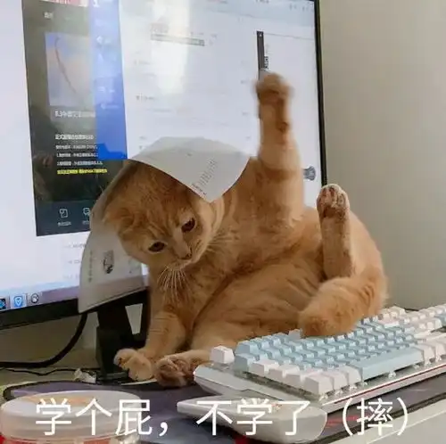 表情包肚子胖胖,生活旺旺