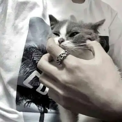 抱猫男头男生抱在怀里猫咪头像
