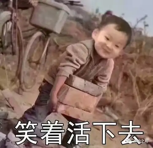 定义英雄丧失两亲的孤儿怎么样活得美丽
