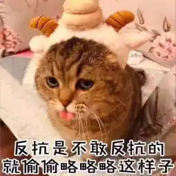 表情包懂了,我就是你可有可无的网友,我走就是了,不用你删