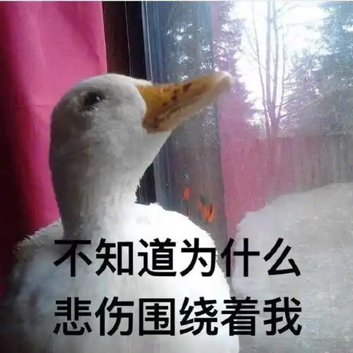 幽默笑话你妹妹一星期才在我这儿吃一顿饭,你别把他们吓跑了