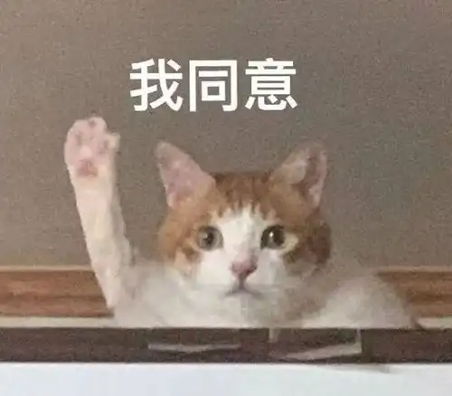 我叫山鸡表情包发飙