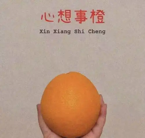 4.194.25,本周爱情和事业共同进步的星座,运势很旺