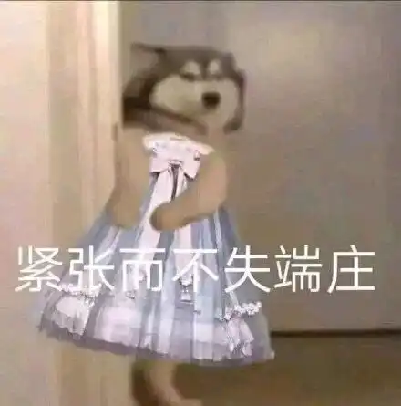 沙雕表情包你忍心丢下我