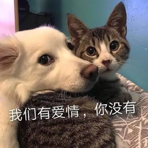 偷偷擦泪表情包今日自拍,看不下去,埋头睡觉