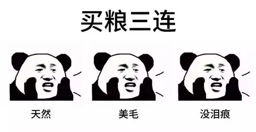 宠物圈3连表情包,总有一个你会右键保存搜狐宠物搜狐网