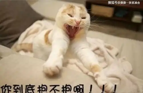 搞笑段子你好讨厌啦