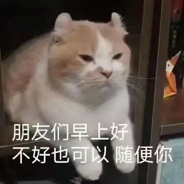 我的收藏