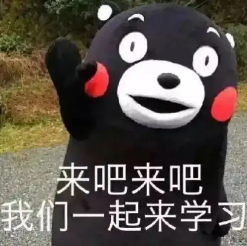 89月高含金量竞赛盘点暑假准备起来,爬藤冲g5就靠它了