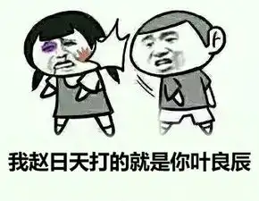 聊天必备赵表情包