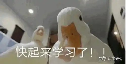 六月份了考研数学应该怎么进行