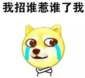继秃了胃垮了离婚了油腻了后,新蔡的90后们又