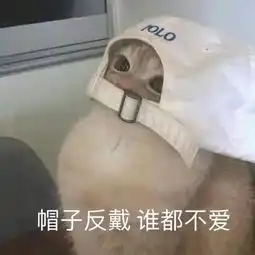 无意间被拉进一个cos群,深夜被踢出群聊,原因竟然是...哈哈哈哈哈哈哈哈