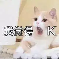 宠物营养品的一哥,做的猫粮能打吗