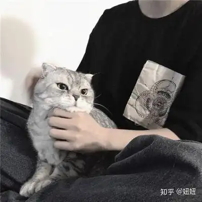 男生头像真人侧脸抱小动