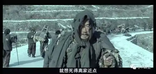 一九四二明明是佳作却招黑受冷落灾民