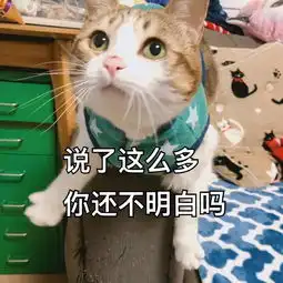 家里有猫,赖床无方