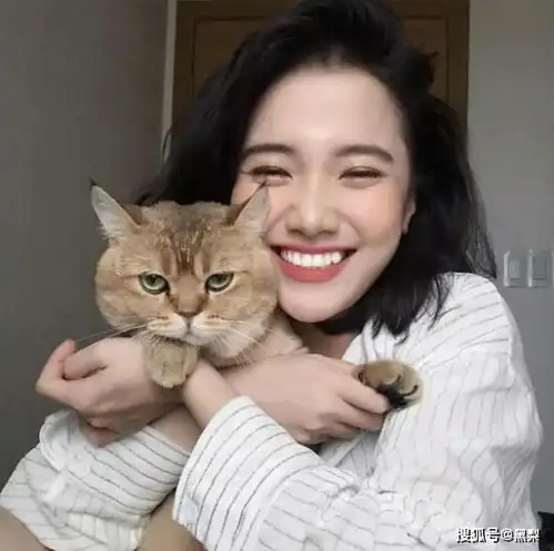 你知道吗男人更喜欢的,其实是猫系女人