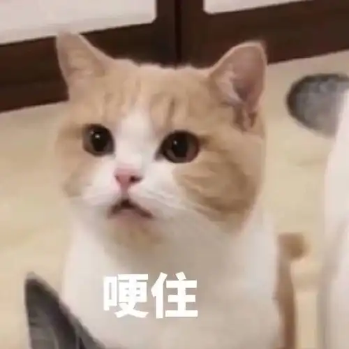 低价转让igelv3课程
