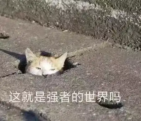 金融狗的估值建模速成指南,附2个g的估值建模资料合集