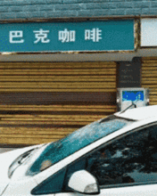 搞笑gif趣图主人快来救我,我被坏人封印了