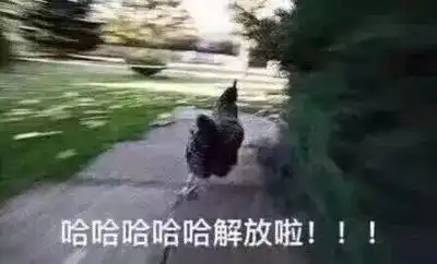 条漫恭喜广州家长们,喜提解放日