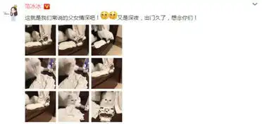 范冰冰晒李晨与爱猫互动发文这是父女情深