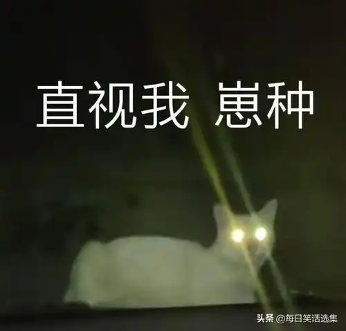 二货老婆,为了避免我说她在家不务正业,开始做微商