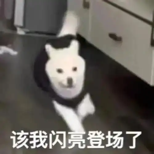 沙雕表情包该我闪亮登场了