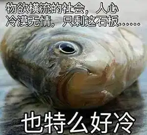 你可能真的是垃圾桶里捡来的......