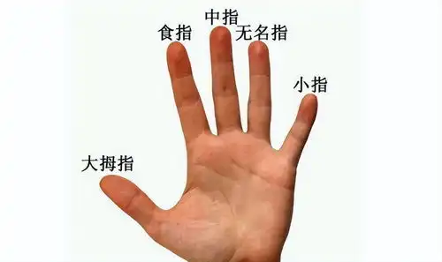 手相看你是不是晚婚的命