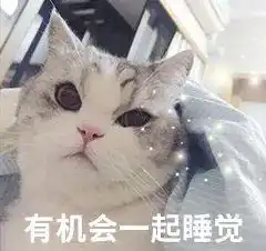 春季养猫,铲屎官们最应该注意这4件事