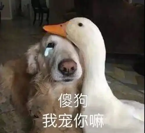 卤西西撩妹技巧你get到了吗