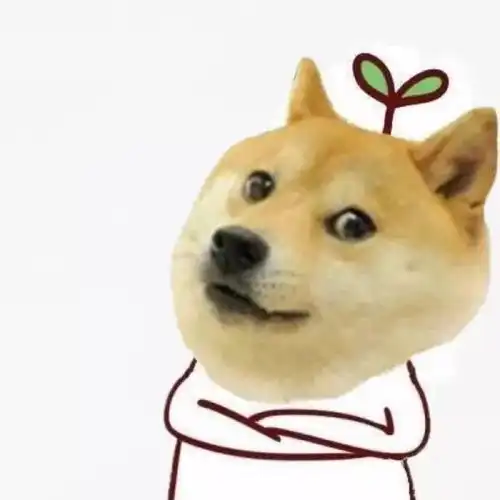 nelts来啦向将参加英语等级考试的你推荐几个实用学习网站