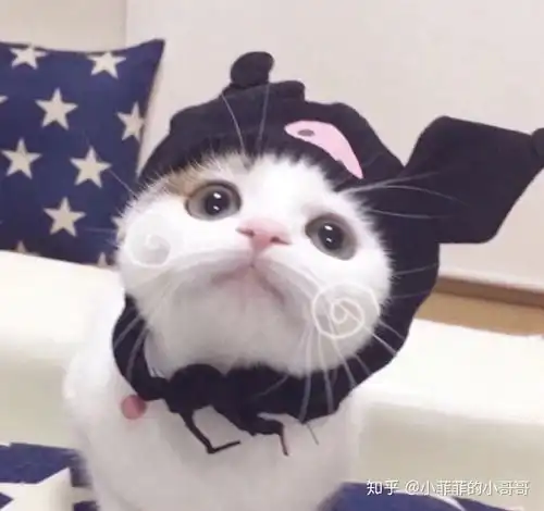 猫咪头像男生代表什么异