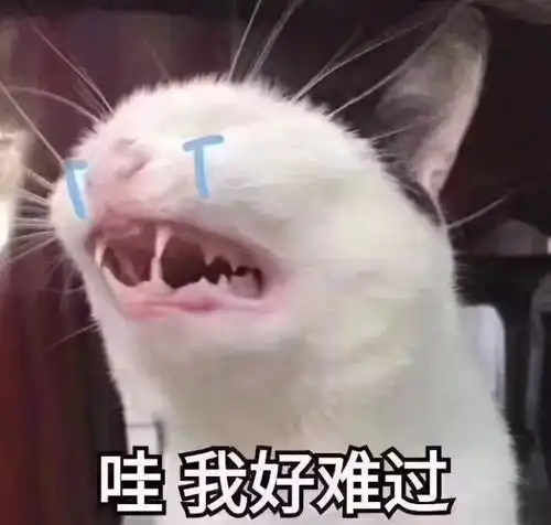 给你们统一分配对象了请大家好好珍惜