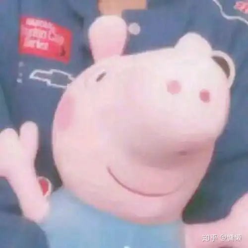适合男生撩人的头像养猪