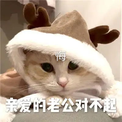 一组哄对象用的表情包哄男朋友必备的小表情