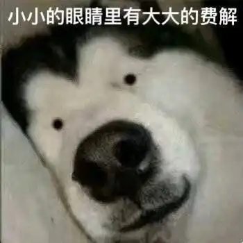 我负责貌美如花