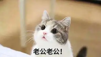 沉迷老公系列表情包,收藏留着用