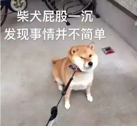 还在pick你家菊姐好看的人已经开始跳舞啦你跳舞,我跳舞,礼物马上就到手