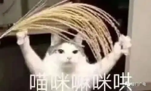注意今明厦门仍有大雨雷电放晴就在